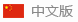 使用汉语